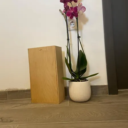 Lucia Apartment Split